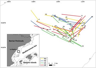 Effects of the implementation of T90 extension and 52 mm square mesh codend on the bottom trawl hake fishery of the north western Mediterranean